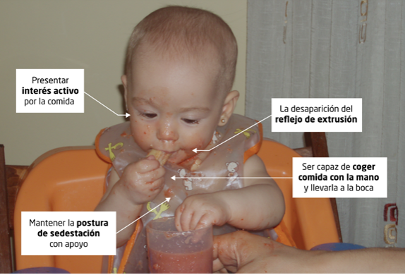 baby led weaning aeped